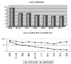 飄影洗發(fā)水營(yíng)銷策劃案themarketingplanofpuyenshampoo 吳德望 第5頁(yè) 市場(chǎng)營(yíng)銷 品牌策劃 市場(chǎng)營(yíng)銷 管理文庫(kù)
